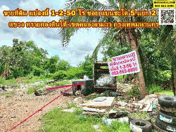 ขายที่ดินเปล่า เนื้อที่ 1-2-50 ไร่ ซอย แบนชะโด 5 แยก 2  แขวง ทรายกองดินใต้ เขตคลองสามวา กรุงเทพมหานคร   